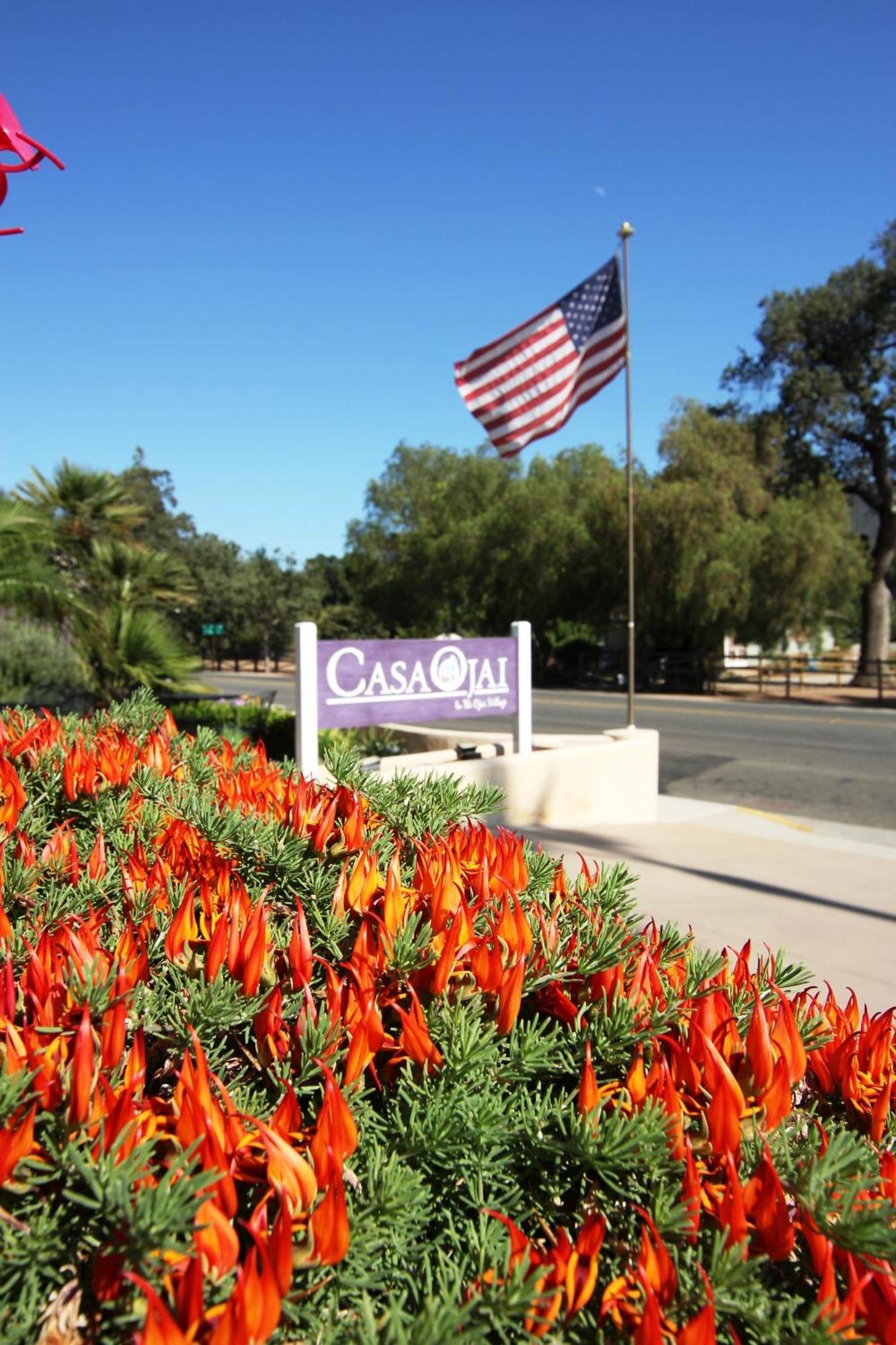 Casa Ojai Inn Екстер'єр фото